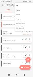 NetMod VPN Client (V2Ray&sol;SSH) Screenshot 2