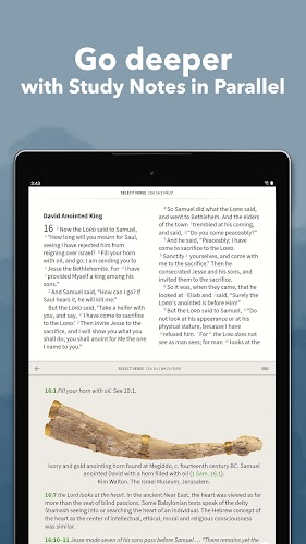 Bible App by Olive Tree Screenshot 18