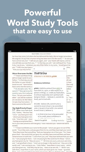 Bible App by Olive Tree Screenshot 20