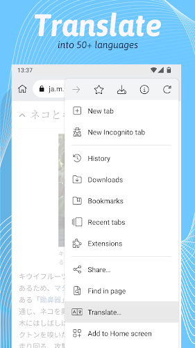 Kiwi Browser - Fast & Quiet Screenshot 4