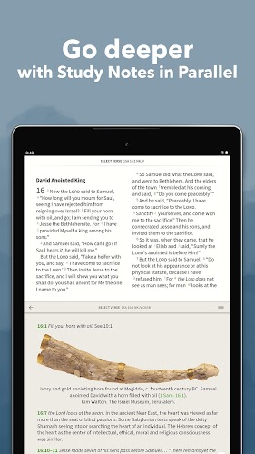 Bible App by Olive Tree Screenshot 10