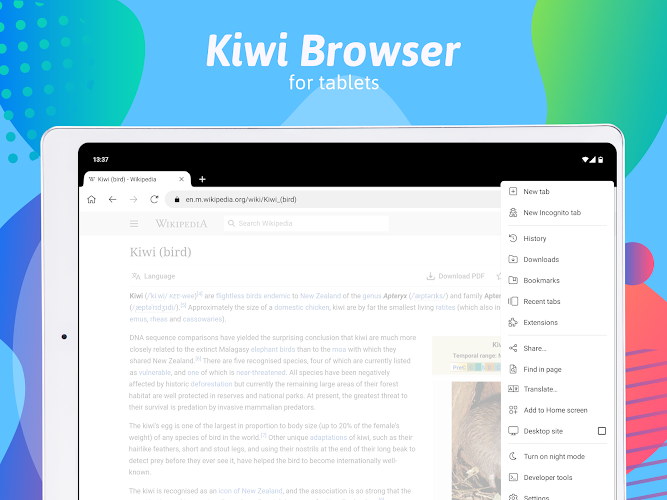 Kiwi Browser - Fast & Quiet Screenshot 8