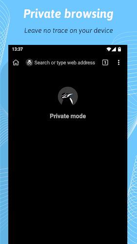 Kiwi Browser - Fast & Quiet Screenshot 7