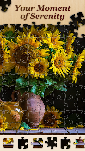 Jigsawscapes®-câu đố ghép hình Screenshot 7
