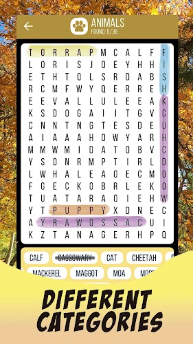 Word Search 2023 Screenshot 2