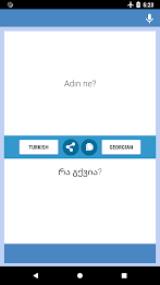 Turkish-Georgian Translator Screenshot 2