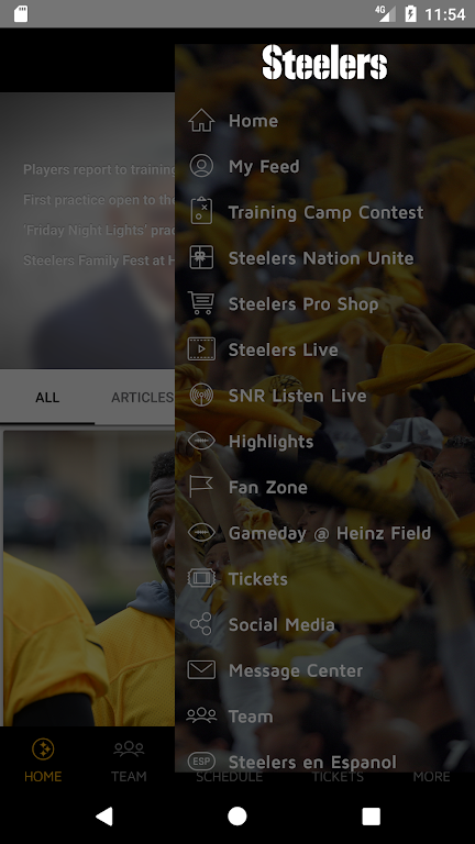 Pittsburgh Steelers Screenshot 2