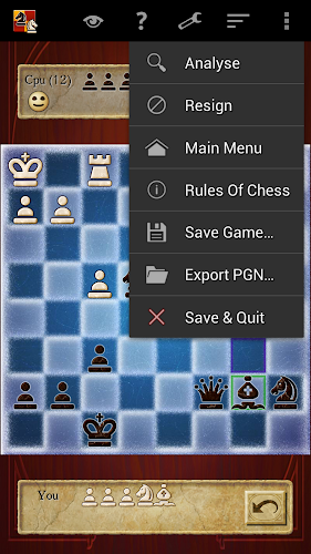 Chess Screenshot 23