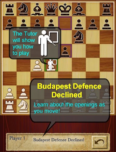 Chess Screenshot 19