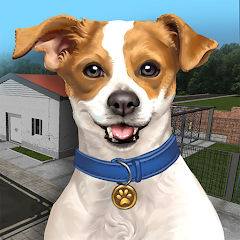 Animal Shelter Simulator Topic