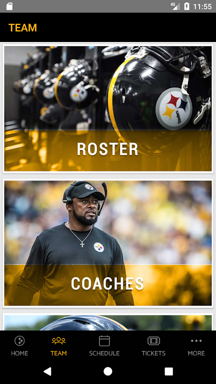 Pittsburgh Steelers Screenshot 3