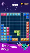 Block puzzle games, mind games Screenshot 15