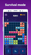 Block puzzle games, mind games Screenshot 14