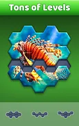 Hexa Jigsaw Screenshot 2