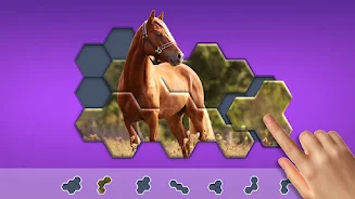 Hexa Jigsaw Screenshot 8