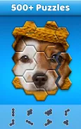 Hexa Jigsaw Screenshot 4