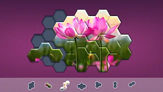 Hexa Jigsaw Screenshot 7