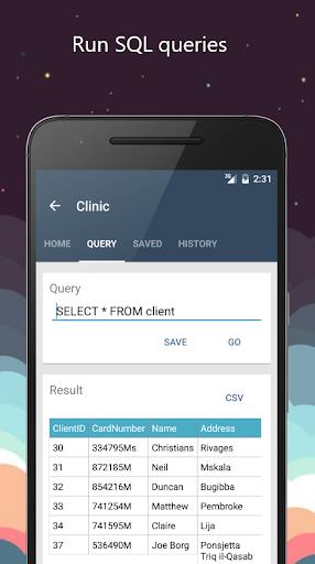 RemoDB SQL Client MySQL, MsSQL Screenshot 8