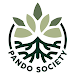 Pando Society APK