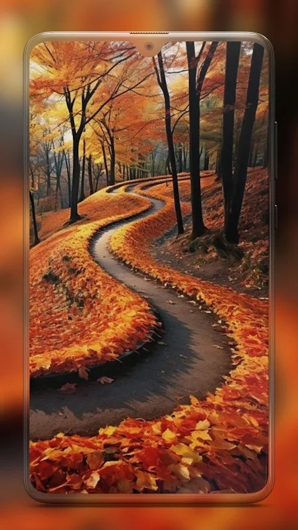 Autumn Wallpapers HD Screenshot 2