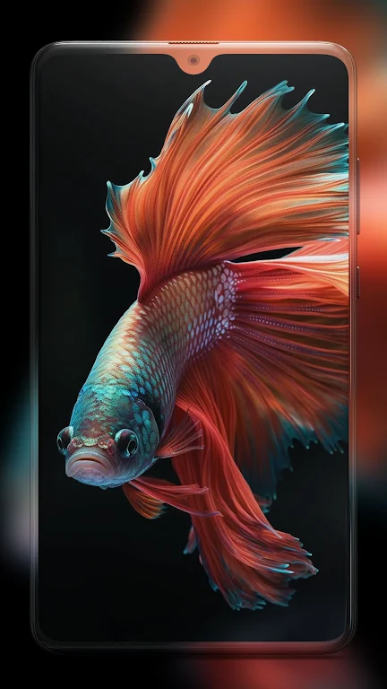 Betta Fish Wallpapers HD Screenshot 1