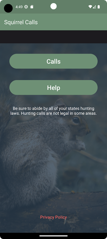 Squirrel Calls Screenshot 3