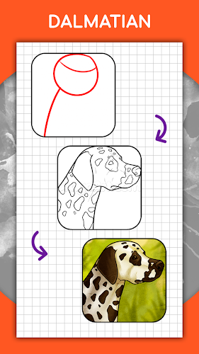 Cách vẽ động vật từng bước Screenshot 5