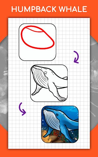 Cách vẽ động vật từng bước Screenshot 24