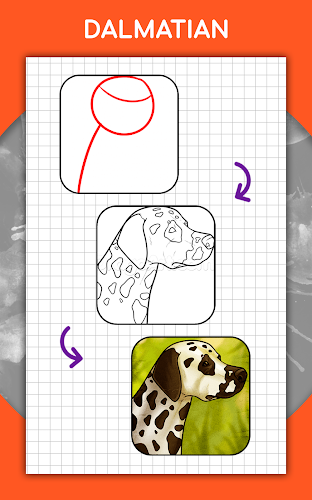 Cách vẽ động vật từng bước Screenshot 13