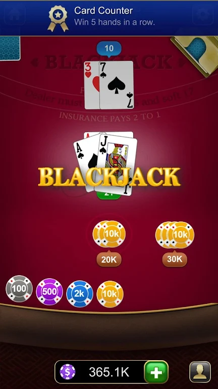 Blackjack 21 Screenshot 3