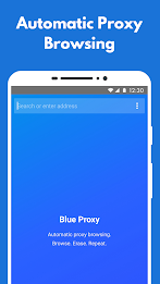 Blue Proxy: proxy browser VPN Screenshot 2