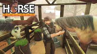 Equestrian: Horse Riding Games Screenshot 2