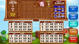 Video Bingo Little Farm Screenshot 3