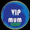 VIP MUM UDP VPN Topic