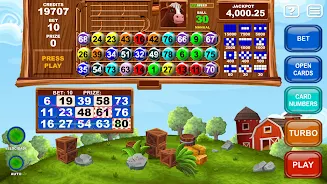 Video Bingo Little Farm Screenshot 4