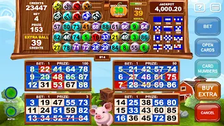 Video Bingo Little Farm Screenshot 1