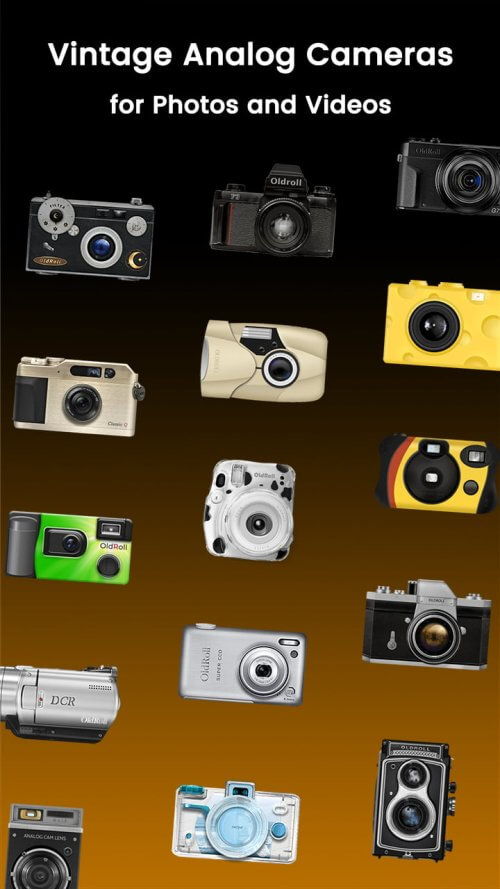 Disposable Camera - OldRoll Mod Screenshot 1