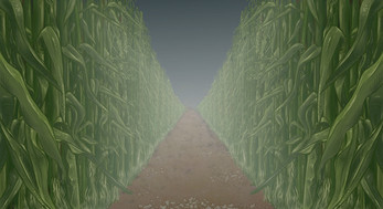 The Maize Maze Screenshot 2