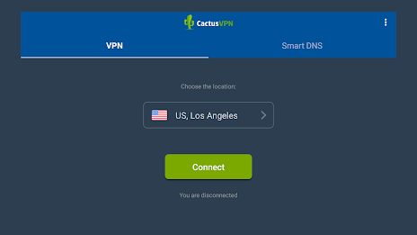 CactusVPN - VPN and Smart DNS Screenshot 6