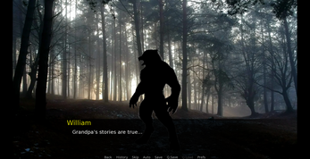 Wolves in the Night Screenshot 4