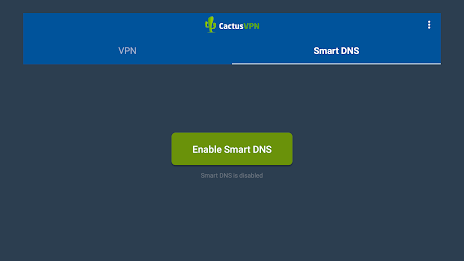 CactusVPN - VPN and Smart DNS Screenshot 10
