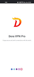 Dora VPN Pro Screenshot 1