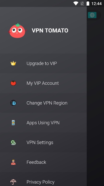 VPN Tomato Screenshot 8