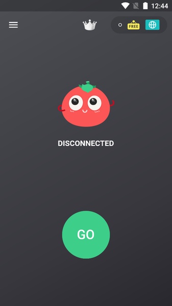VPN Tomato Screenshot 9