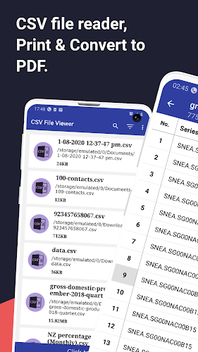 CSV File Viewer Screenshot 1