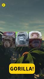 Gorilla Slot Infinity Screenshot 20