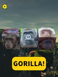 Gorilla Slot Infinity Screenshot 14