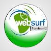 WebSurfHub V6 OVPN Topic