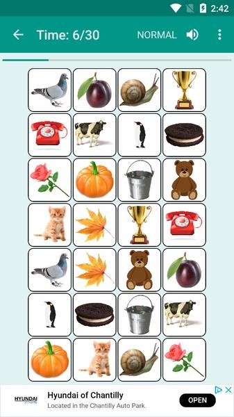 Brain game. Picture Match Screenshot 12