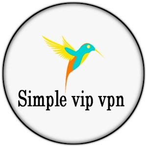 Simple VIP VPN Topic